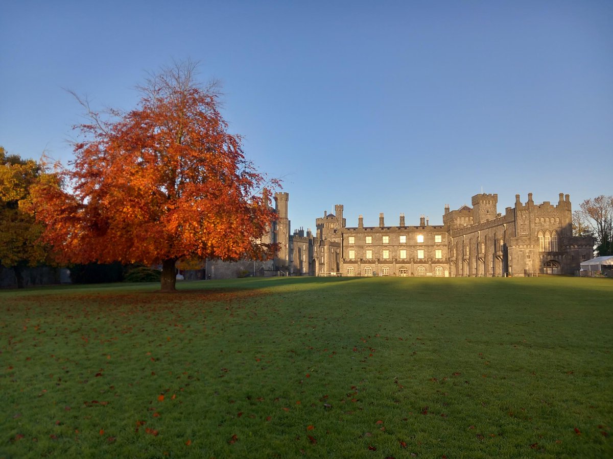 What a glorious November morning!
We love the rich autumnal colour of the park at this time of the year, especially when our purple beech tree leaves turn to a beautiful shade of copper🍂🍁🌞
#AutumnInIreland #IrelandAncientEast #Kilkenny #LoveKilkenny #VisitKilkenny #Ireland