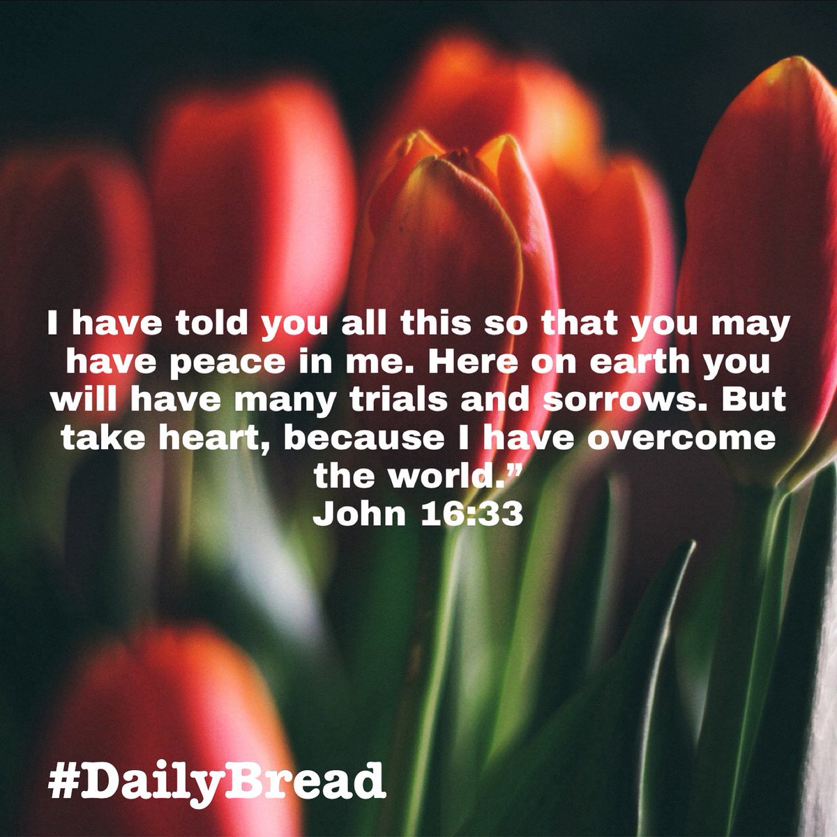 I have told you all this so that you may have peace in me… Here on earth you will have many trials & sorrows… But take heart, because I have overcome the world…” 
#John 16:33
#DailyBread #GodsPlan #GodsPeace #SpeakLife