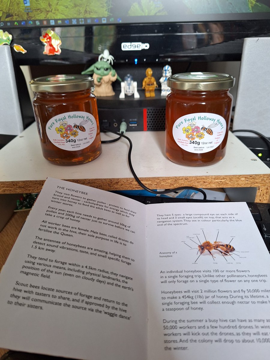 Very happy to get the RHUL honey from this year. And it came with a lovely booklet with information about the honeybees.