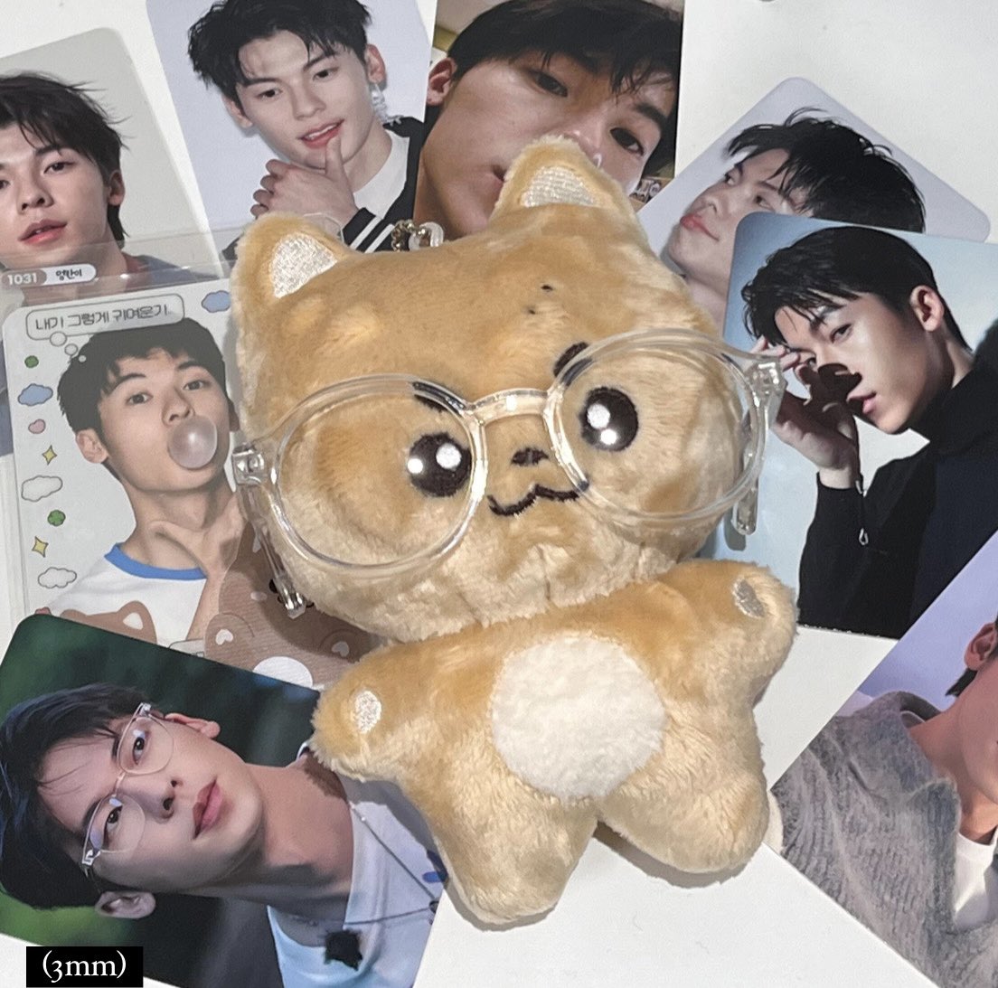 안녕하세요 멍한이에요  •̀.̫•́✧

오래 기다려주셔서 감사합니다. 
최종 샘플이 나왔습니다 .ᐟ 🖤

(* 단독샷엔 장모/단모 따로 표시, 두 개있는 기준 왼쪽 단모 오른쪽 장모입니다)