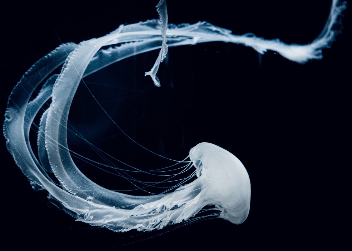 curve of the moon 🌙