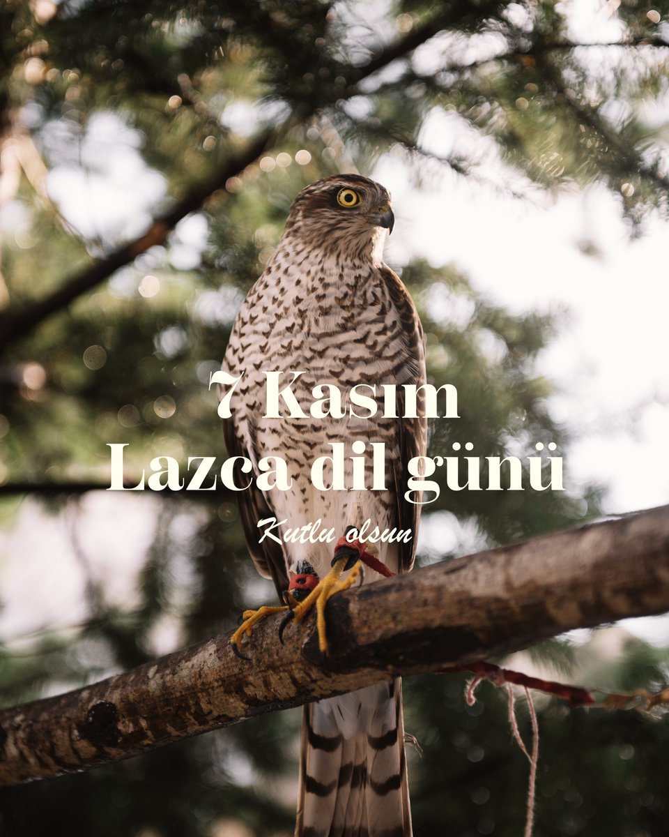 Skidas Lazuri