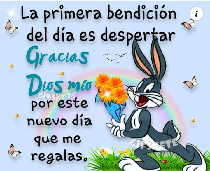 Buenos días 🌻
