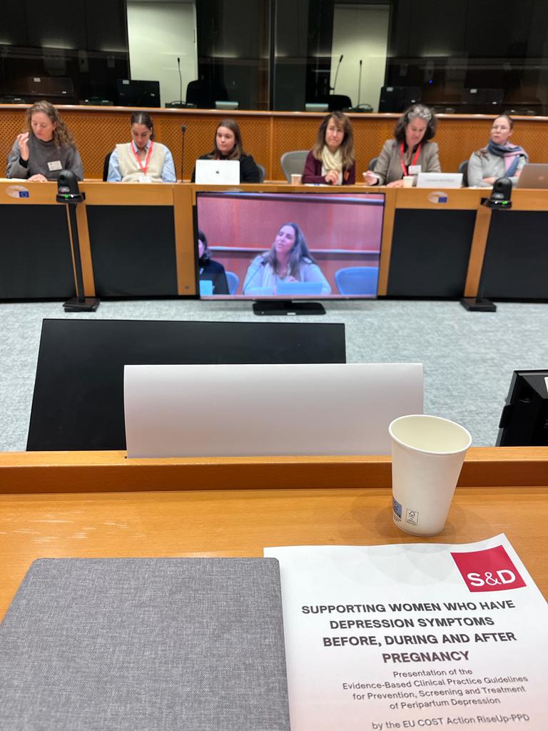RiseupPPD's tweet image. @MariMoura_Ramos presenting the #evidencebased Guidelines for Prevention, Screening and Treatment of #PeripartumDepression by the @COSTprogramme  #RiseUpPPD