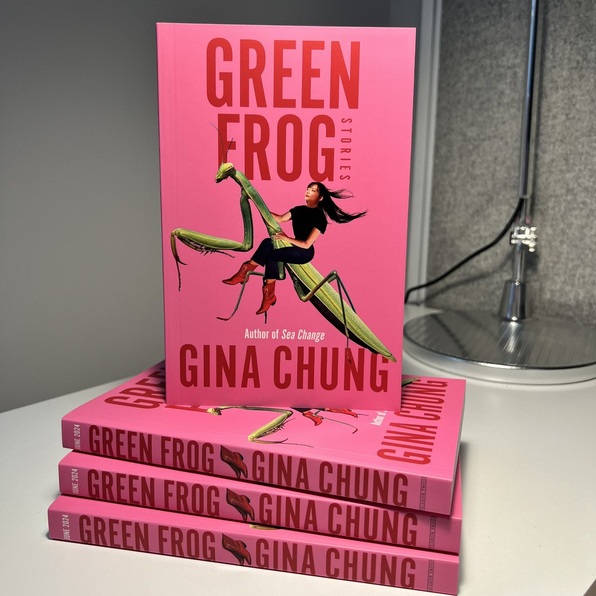lailakazzuz's tweet photo. The proofs are in ๐ DM if you want one
๐Green Frog by Gina Chung, author of Sea Change
๐Picador June 2024
#bookproofs #proofdrop #proofcopies #booktwitter https://t.co/UH3dU5AUOL