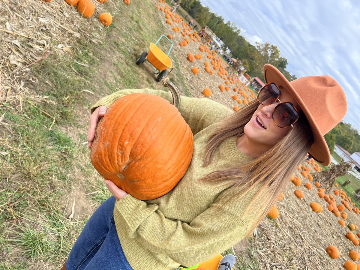 HaikuCiani's tweet photo. Fall things. I worked hard on my alt descriptions. https://t.co/sQxBOL9tTX
