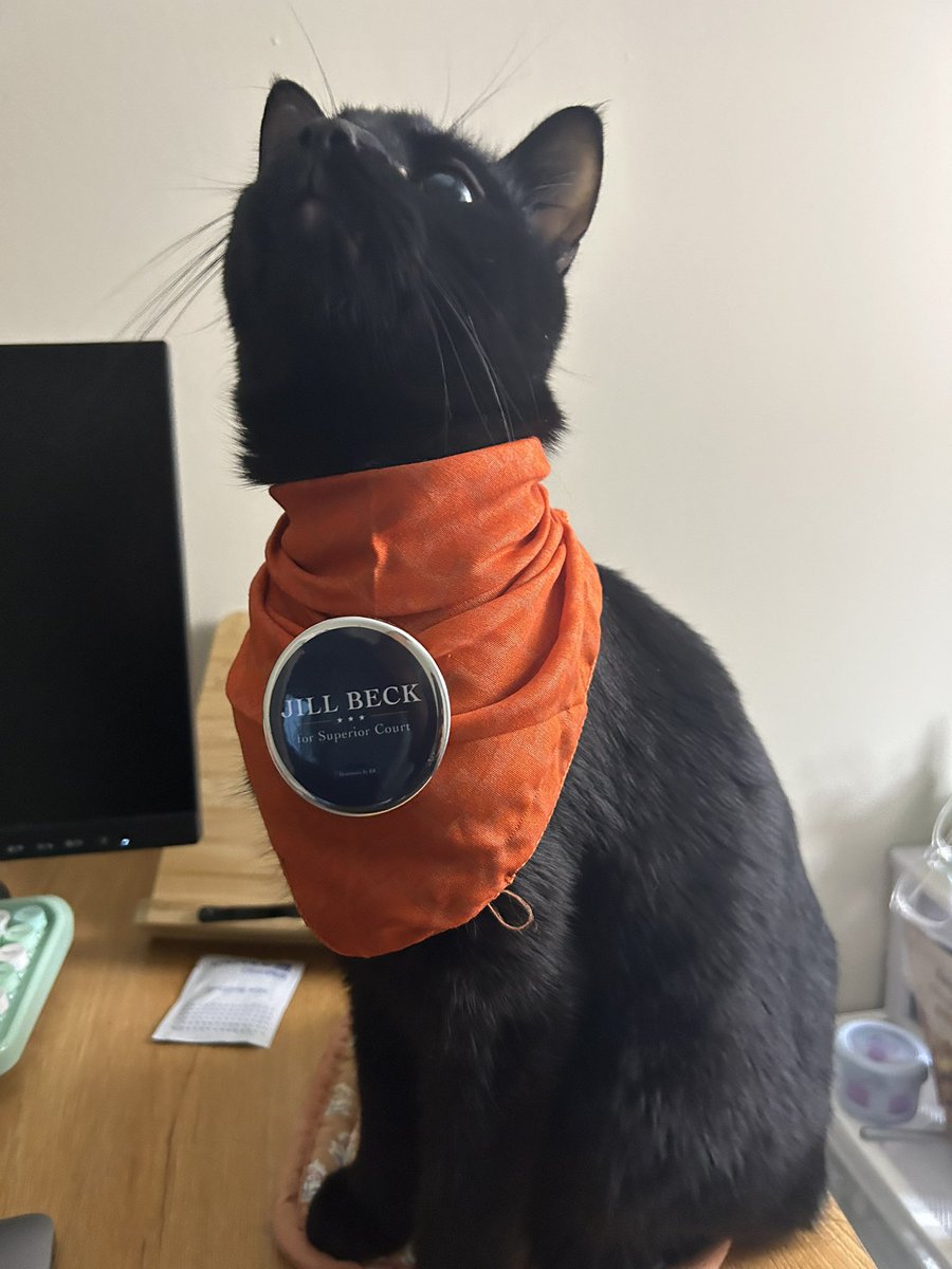 Lauren Williams tweet media