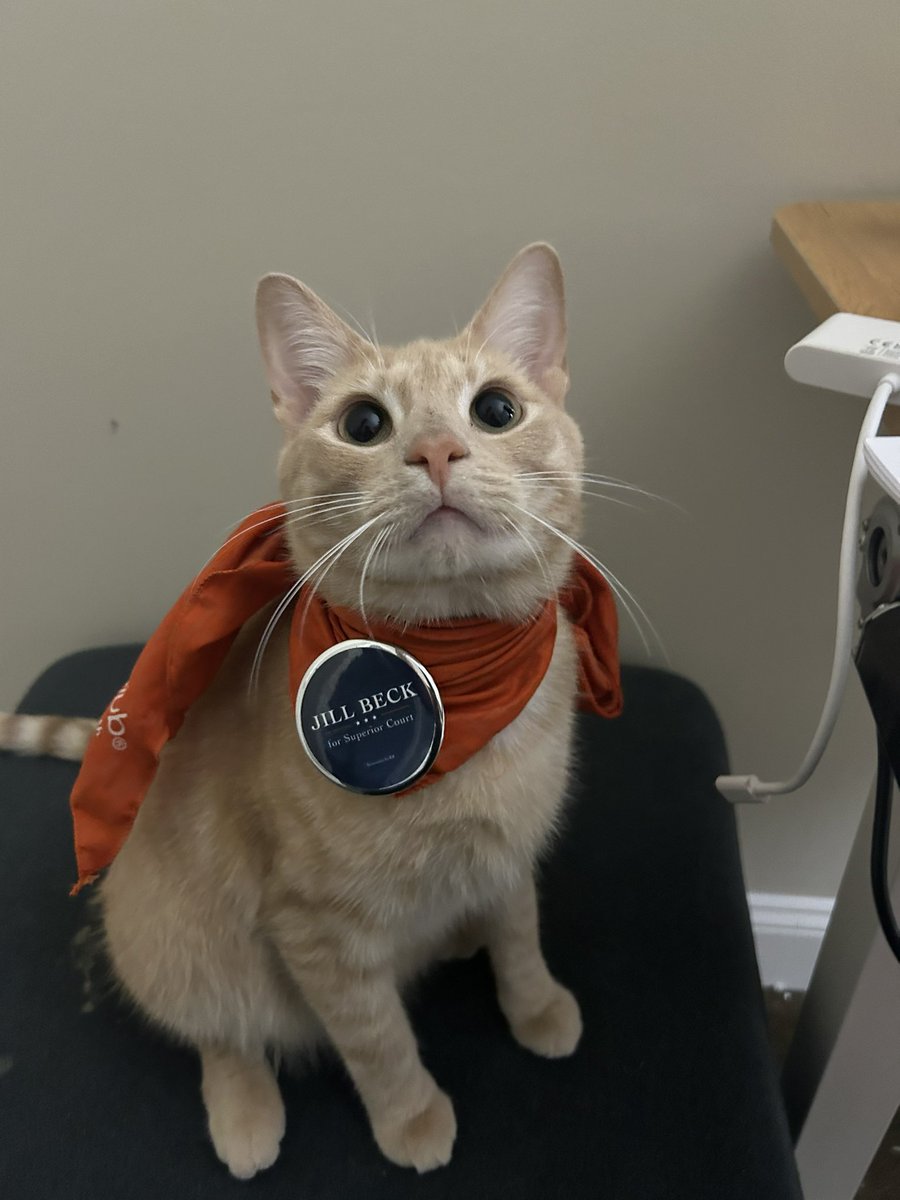 Lauren Williams tweet media