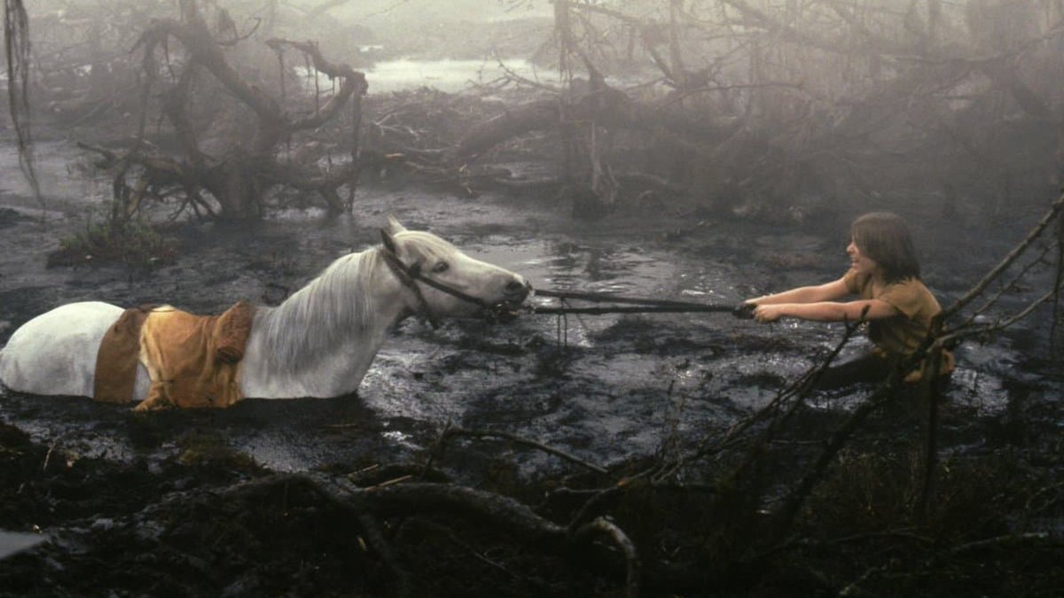 CamilleCailloux's tweet photo. I’m generally okay with character’s death, even if they’re major characters. 

But Fuk, I’ll NEVER forgive that one. https://t.co/zeWctcnCqN