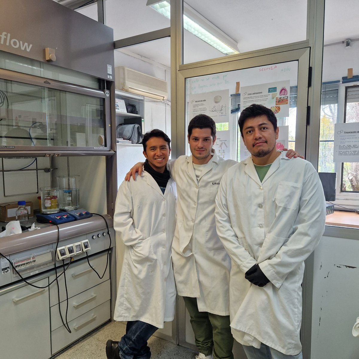 Now It is time to see the "Canicas de alginato" team <a href="/ictp_promocion/">ICTP-CSIC</a>