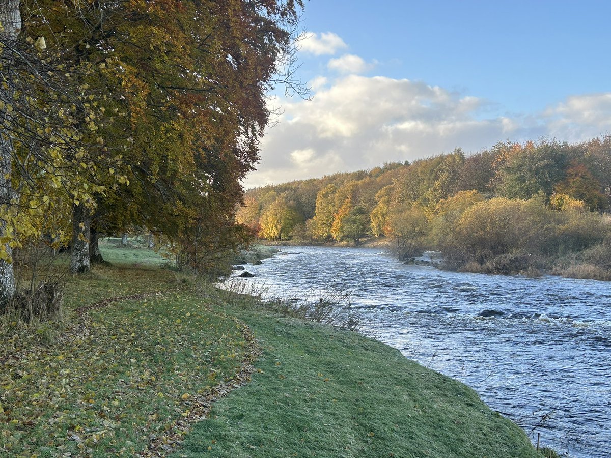 Recruitment-New Role!

Project Deveron Catchment Restoration Manager with @AST_Salmon (based at @DBIRCT offices.)

deveron.org/project-devero…

#riverdeveron #projectdeveron #wildsalmonfirst