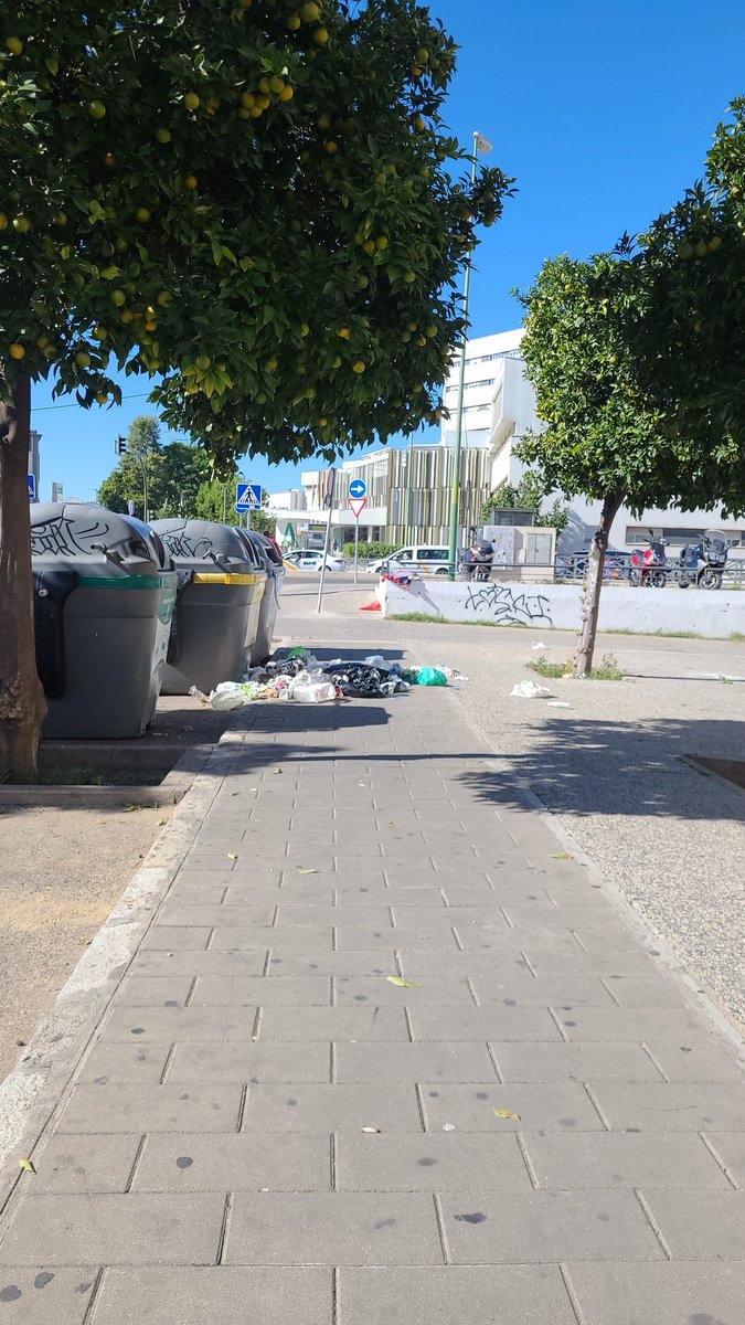 mirysvq's tweet photo. @LipasamSevilla @Ayto_Sevilla @abcdesevilla @diariosevilla verguenza de cómo está la avenida doctor fedriani frente a un hospital. Y así todas las semanas https://t.co/KG7sIH94AY