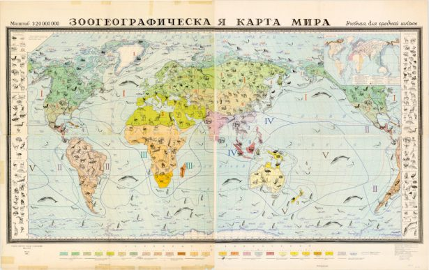 MCNBbiblioteca's tweet photo. A #CartotecaMCNB tenim mapes geològics, topogràfics i geogràfics, però també altres, com aquest:
🗺️Es tracta d’un mapa zoogeogràfic del món, publicat el 1955 a la URSS
🤷No sabem quan va arribar al Museu ni com
Ressenya completa 👉https://t.co/sdAnw8w1B6 https://t.co/G9gOhnntcA