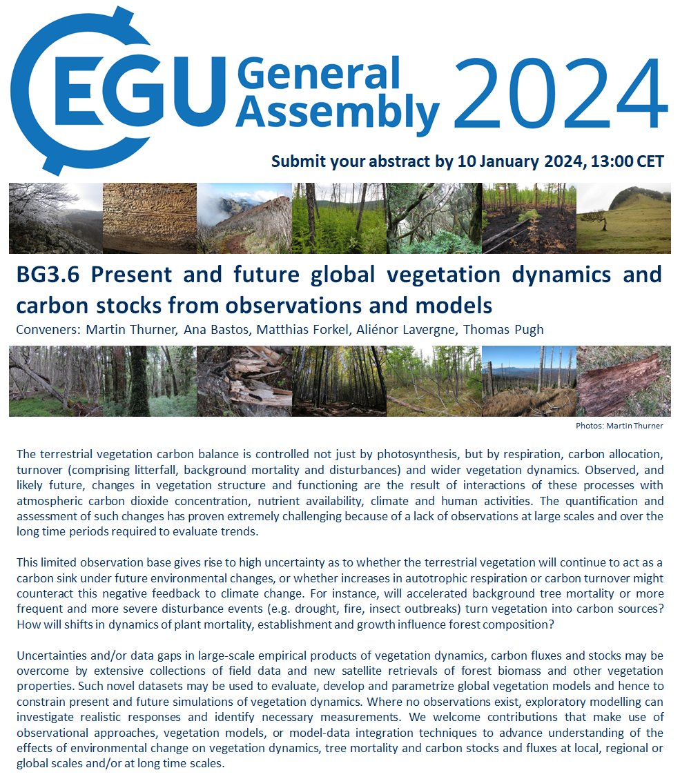 Martin Thurner tweet media