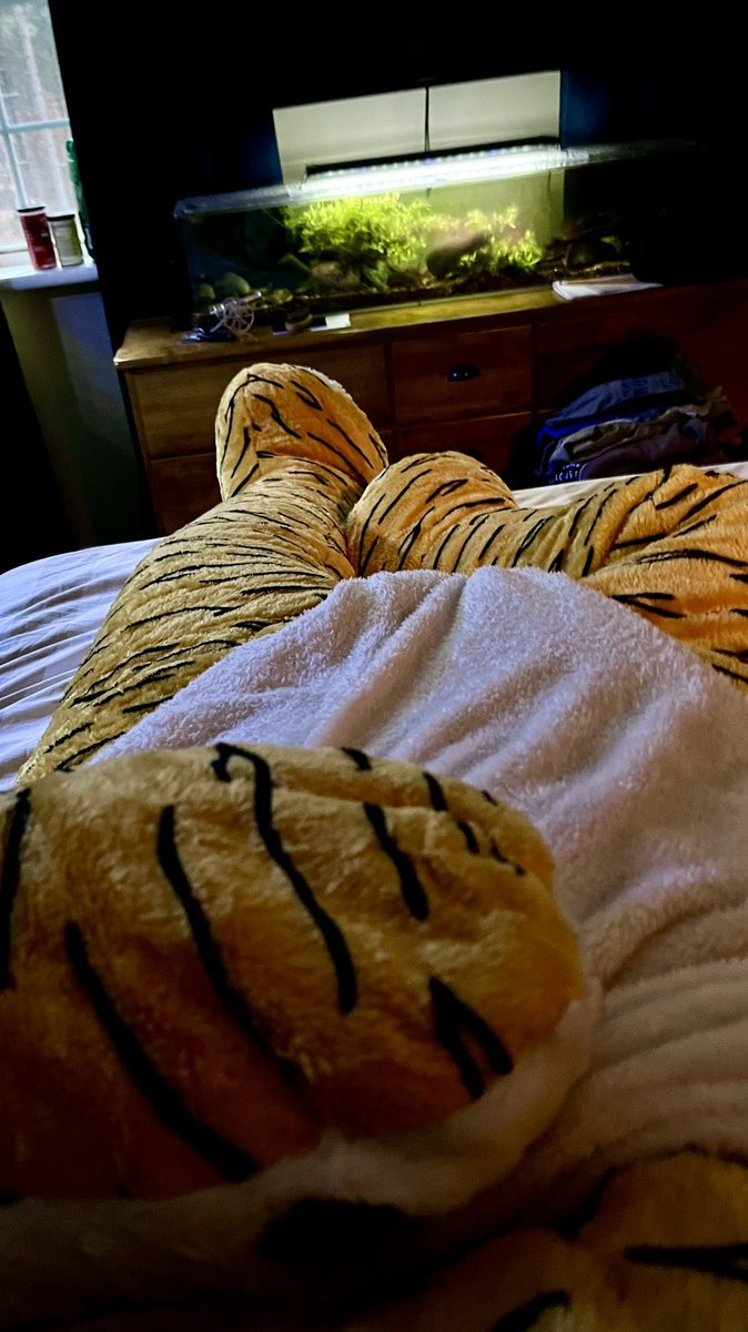 DaedraBanisher's tweet photo. Woke up nice and warm https://t.co/0zoyWHRcXy
