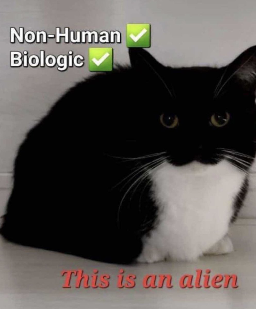 丅ᕼᗴ ꀤƝꪜᗩᕲᗴ☈ (@earths_doom) on Twitter photo 