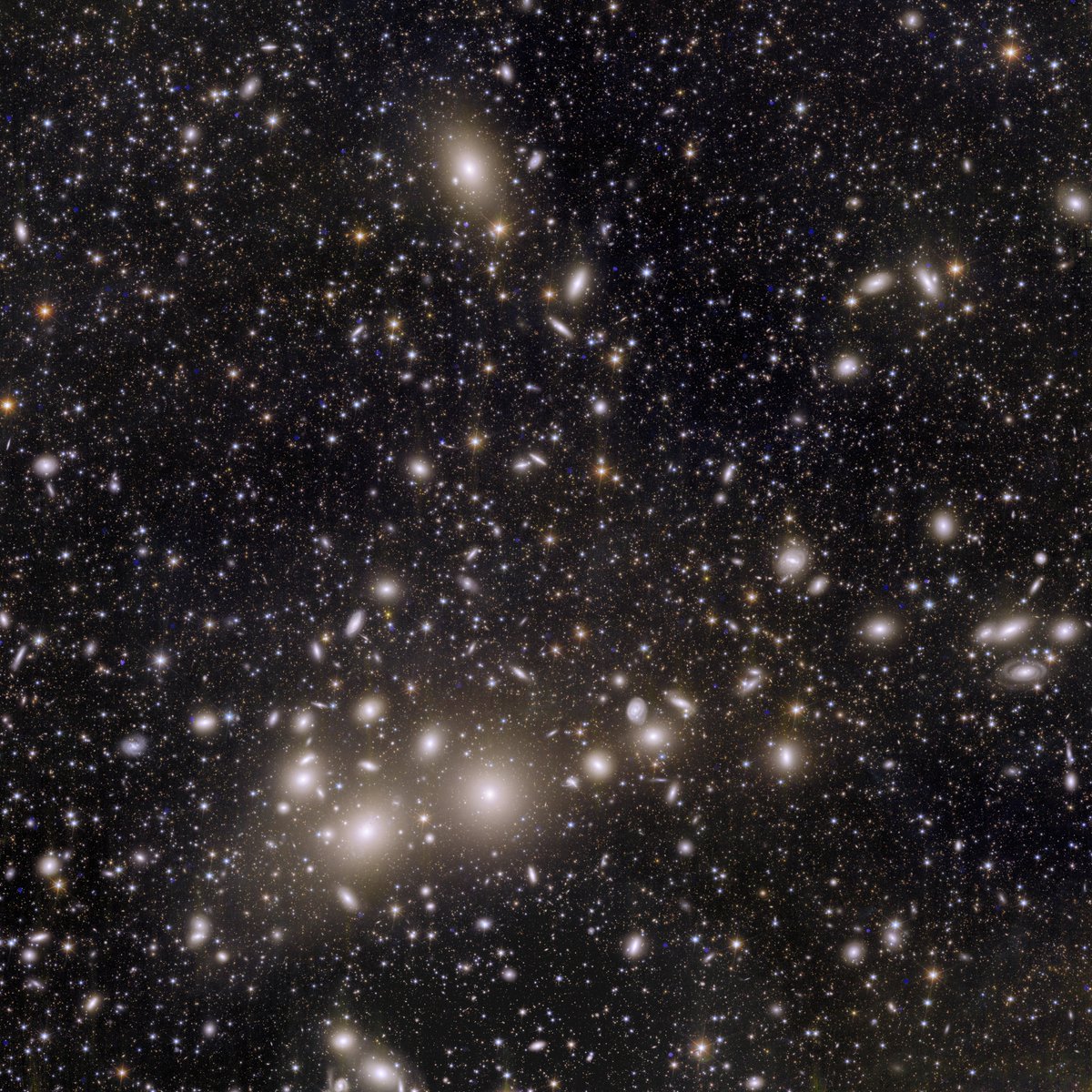 Cette image de l'amas de galaxies de Persée, première image du télescope Euclid est EXTRAORDINAIRE!!!
Vous voyez 1000 galaxies de l'amas, à 240 millions d'années-lumière... et 100000 galaxies en arrière-plan. La lumière de certaines a mis 10 milliards d'années pour nous parvenir!