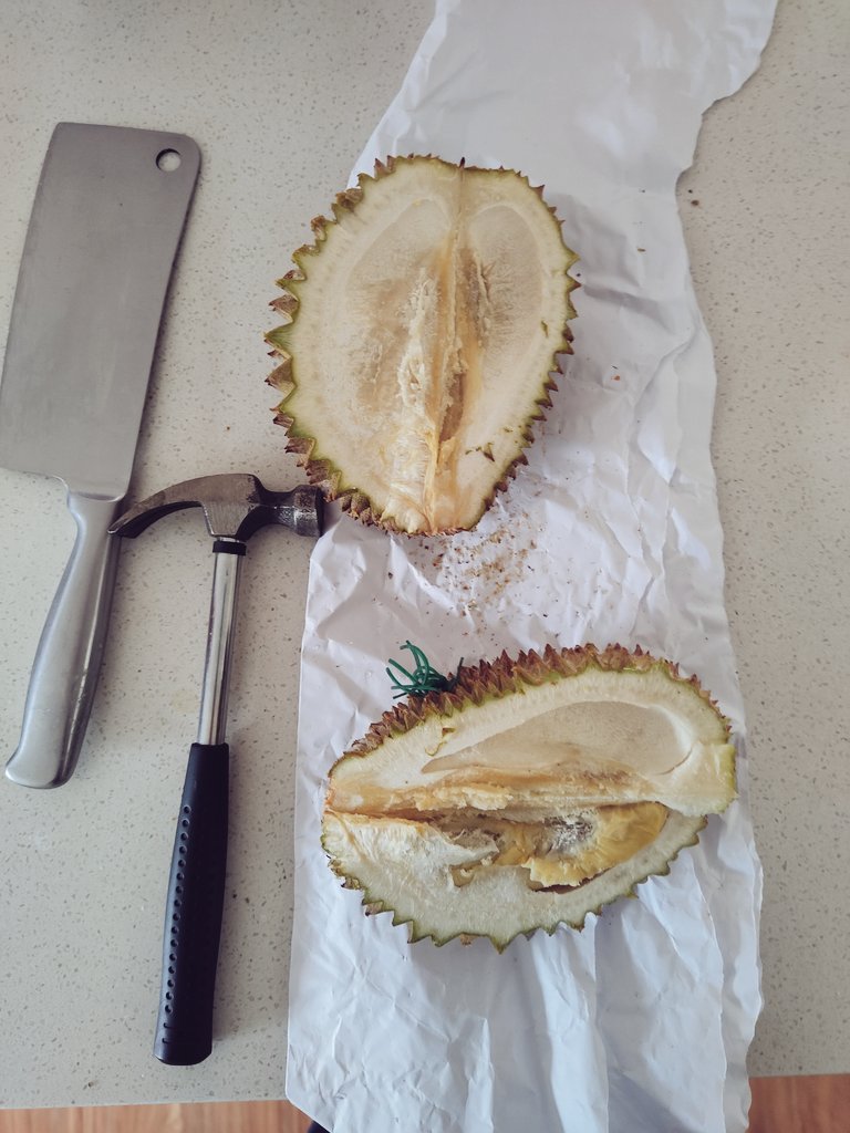 borui ng (@ng_borui39015) on Twitter photo 