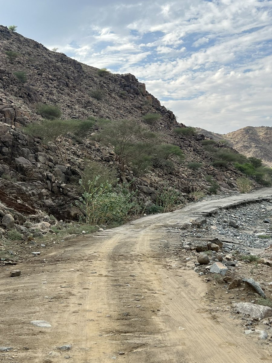صوت جدم tweet media