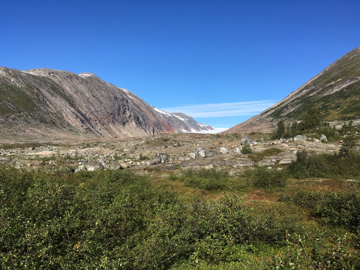 Clare Boston tweet media