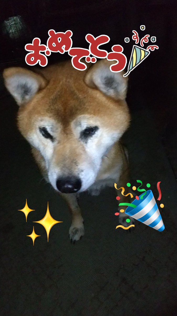 post_kira's tweet photo. 今年も大ちゃん🎈飛びました♪大ちゃん8歳🎂おめでとうー！！！🎊😆✨ https://t.co/QNmgrt3UOj