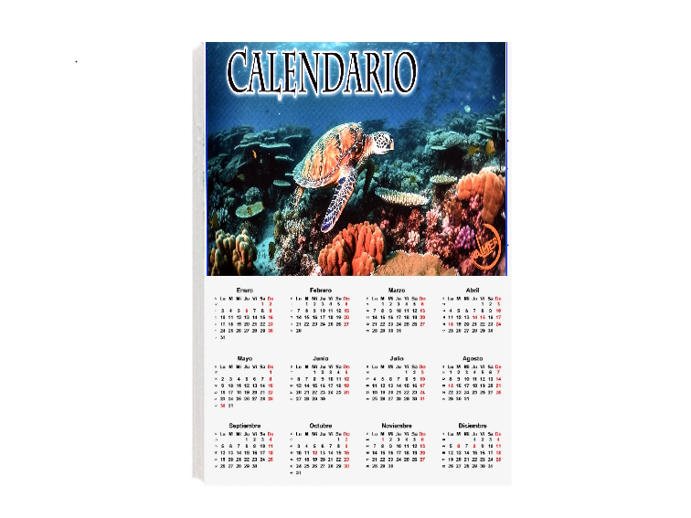 FotoValher's tweet photo. 📅 CALENDARIO DE PARED ANUAL EN CARTÓN PLUMA📅

🎄¿Quieres tu calendario en un soporte ligero pero rígido?.  Calendario de pared anual colocado en cartón pluma de 1 cm y realizado en papel estucado de 300 gramos.

Pincha aquí ▶️ https://t.co/EMBkvrA5rZ

https://t.co/2jPYjXf7f6 https://t.co/wYLuC1JxXe