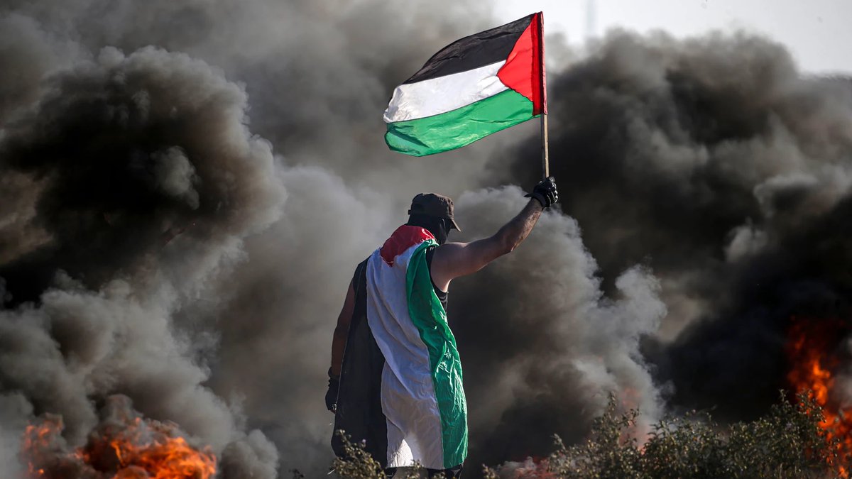 Manu Pineda 𓂆 🔻 tweet media