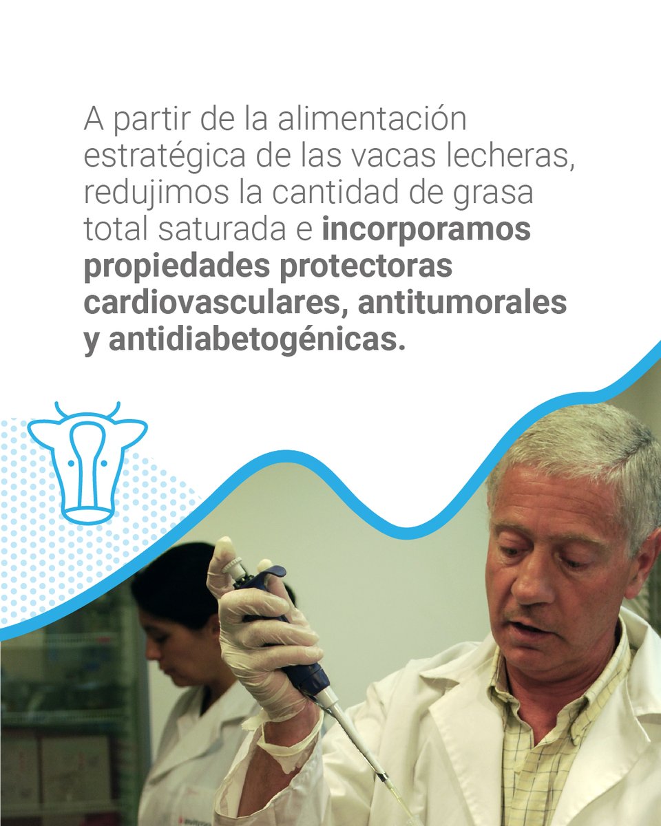 intaargentina's tweet photo. 🐄🥛Junto con Lácteos Verónica, Prodeo SRL y Lácteos Capilla del Señor desarrollamos la primera leche funcional reducida en grasas saturadas y enriquecida con ácido linoleico conjugado (CLA) natural, a partir de la alimentación de las vacas.

#INTAesVinculación #100LogrosINTA https://t.co/XNS3TG2LOp