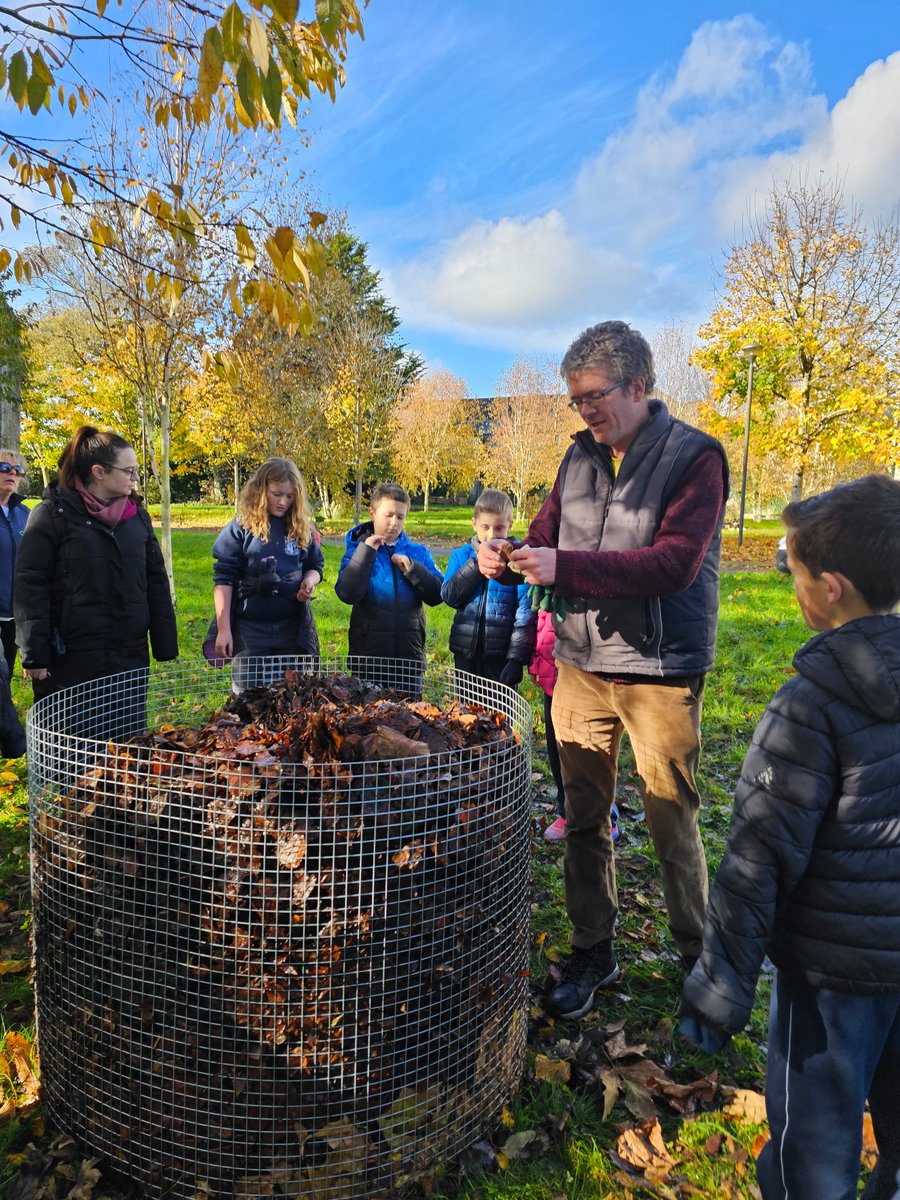 greenspacescork's tweet photo. local primary &amp; secondary schools @ Mahon came this morning laden with bags of leaf collected from pavements for a workshop on creating leaf mould led by Donal O'Leary. It's all happening at Mahon Communuty Garden! @CorkHealthyCity @corkcitycouncil @c https://t.co/IE8rRKOYfY