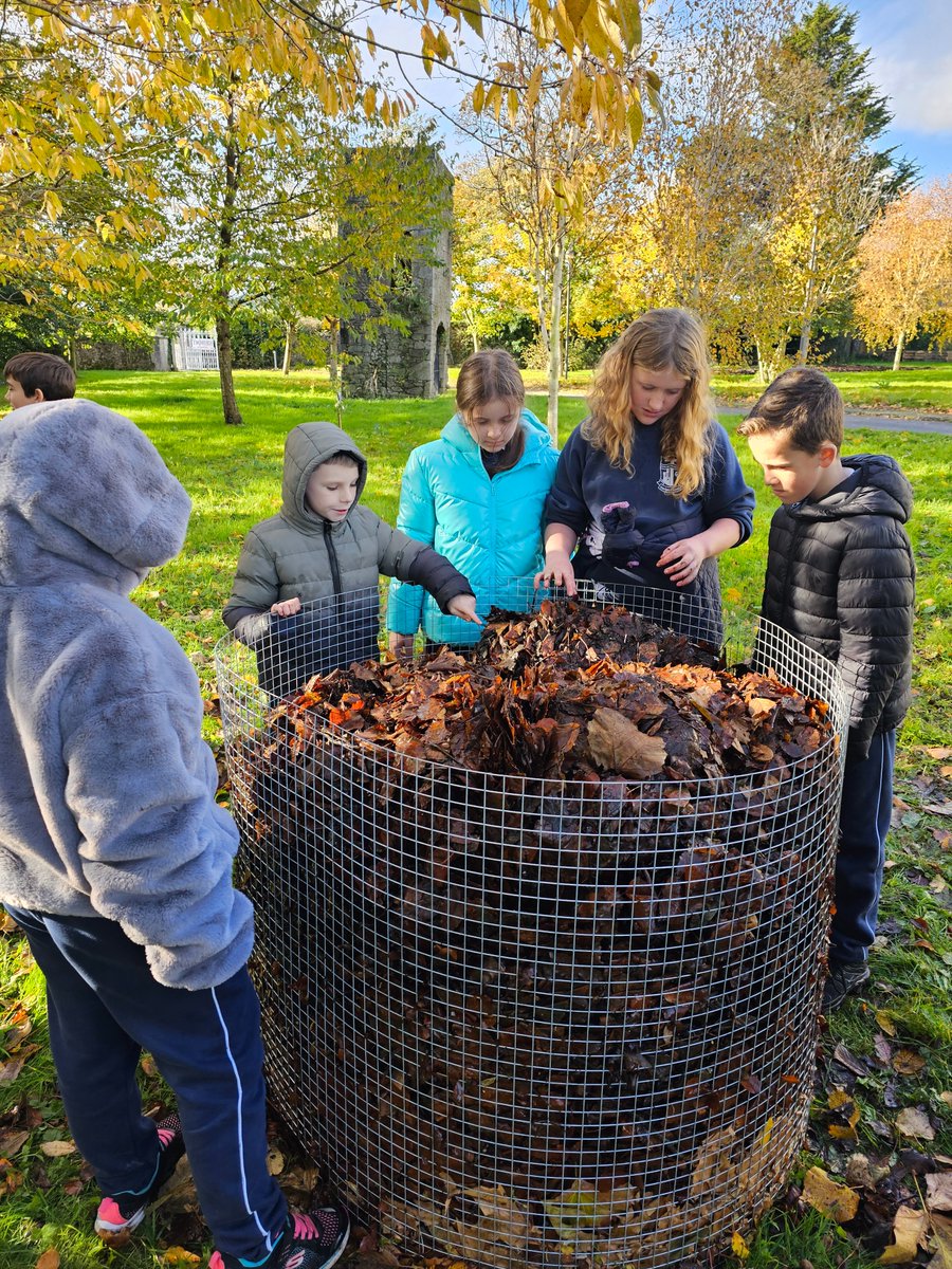 greenspacescork's tweet photo. local primary &amp; secondary schools @ Mahon came this morning laden with bags of leaf collected from pavements for a workshop on creating leaf mould led by Donal O'Leary. It's all happening at Mahon Communuty Garden! @CorkHealthyCity @corkcitycouncil @c https://t.co/IE8rRKOYfY