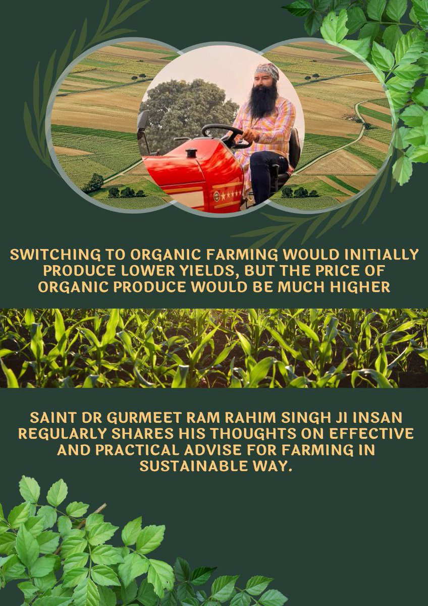 Saint Dr Gurmeet Ram Rahim Singh Ji Insan बंजर भूमि को पुनः खेती योग्य करने, कम उपजाऊ भूमि पर फसल उगाने, जल संरक्षण और जैविक खेती करने के बारे में मूल्यवान सुझाव साझा करते हैं।
#OrganicFarming #ScientificFarming  
 #Farming #AgricultureTipsByMSG #DeraSachaSauda