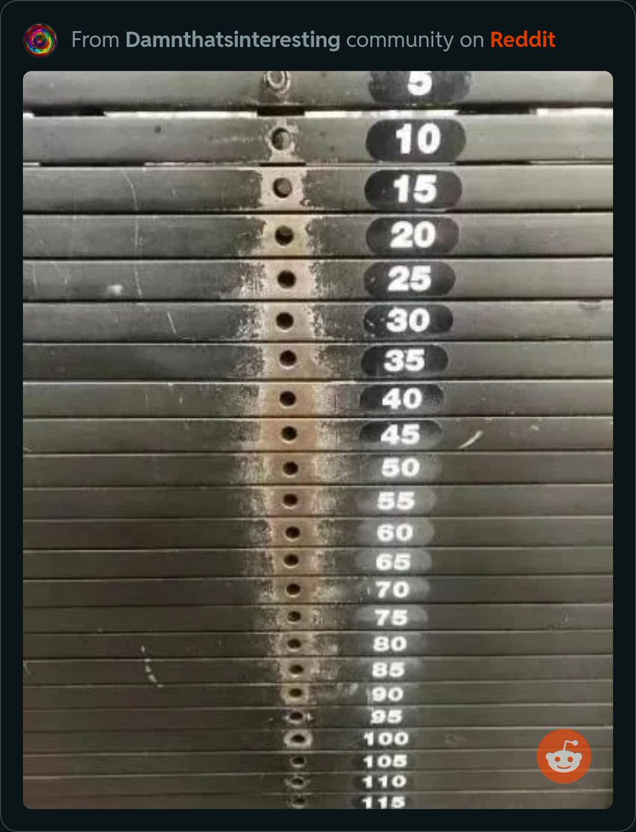 What do you notice? What do you wonder?