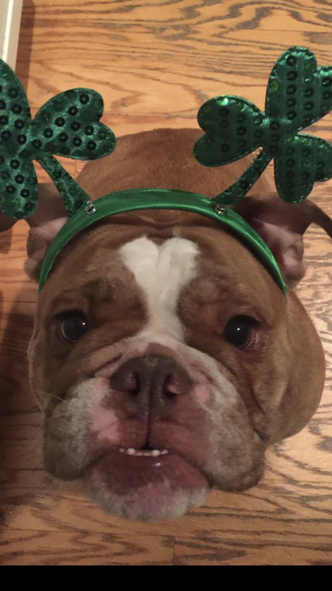 Raul Collins tweet media