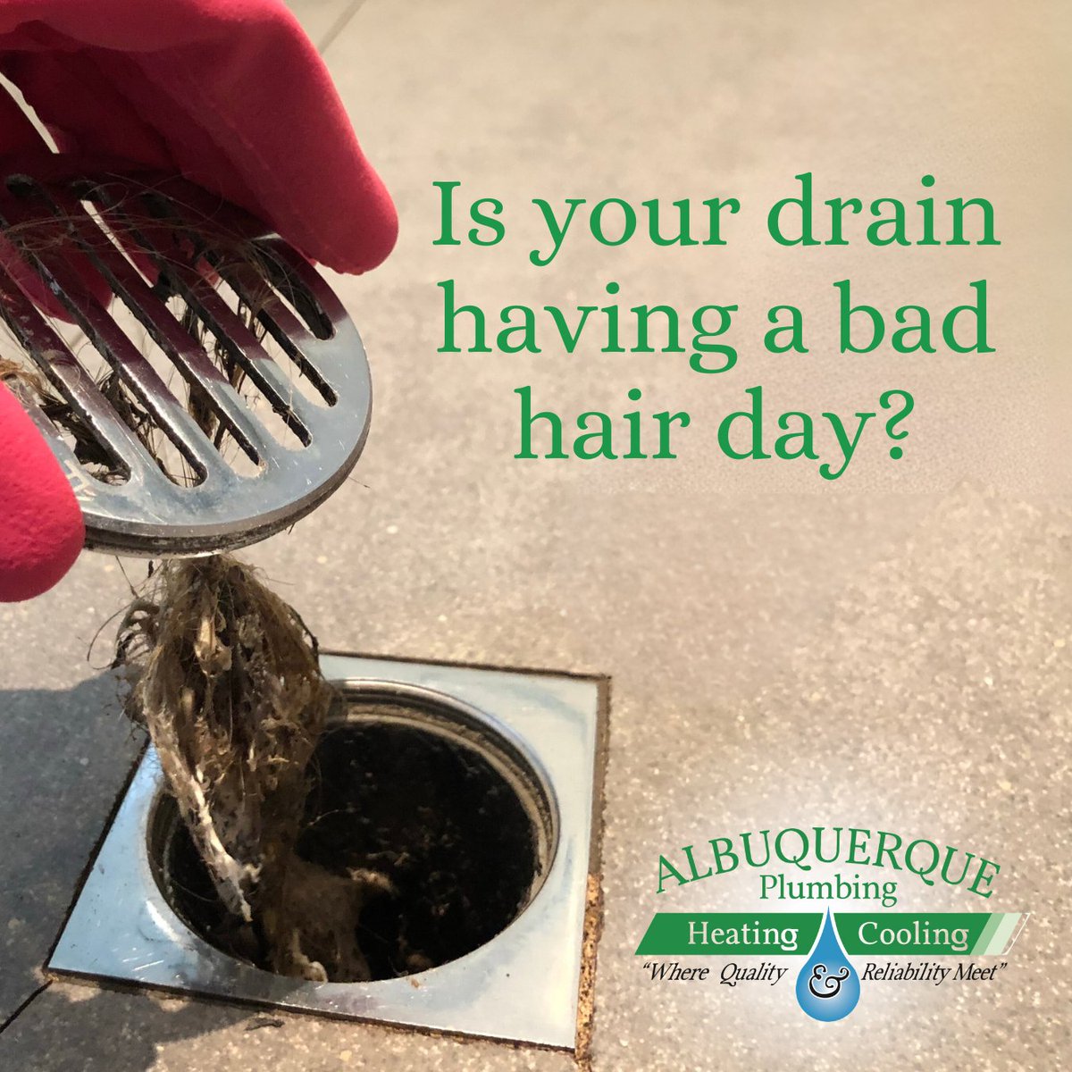 If your drains are grossing you out, give us a call. We have seen it all!!! #abqplumbers #smellydrains #weareheretohelp #albuquerquedrains