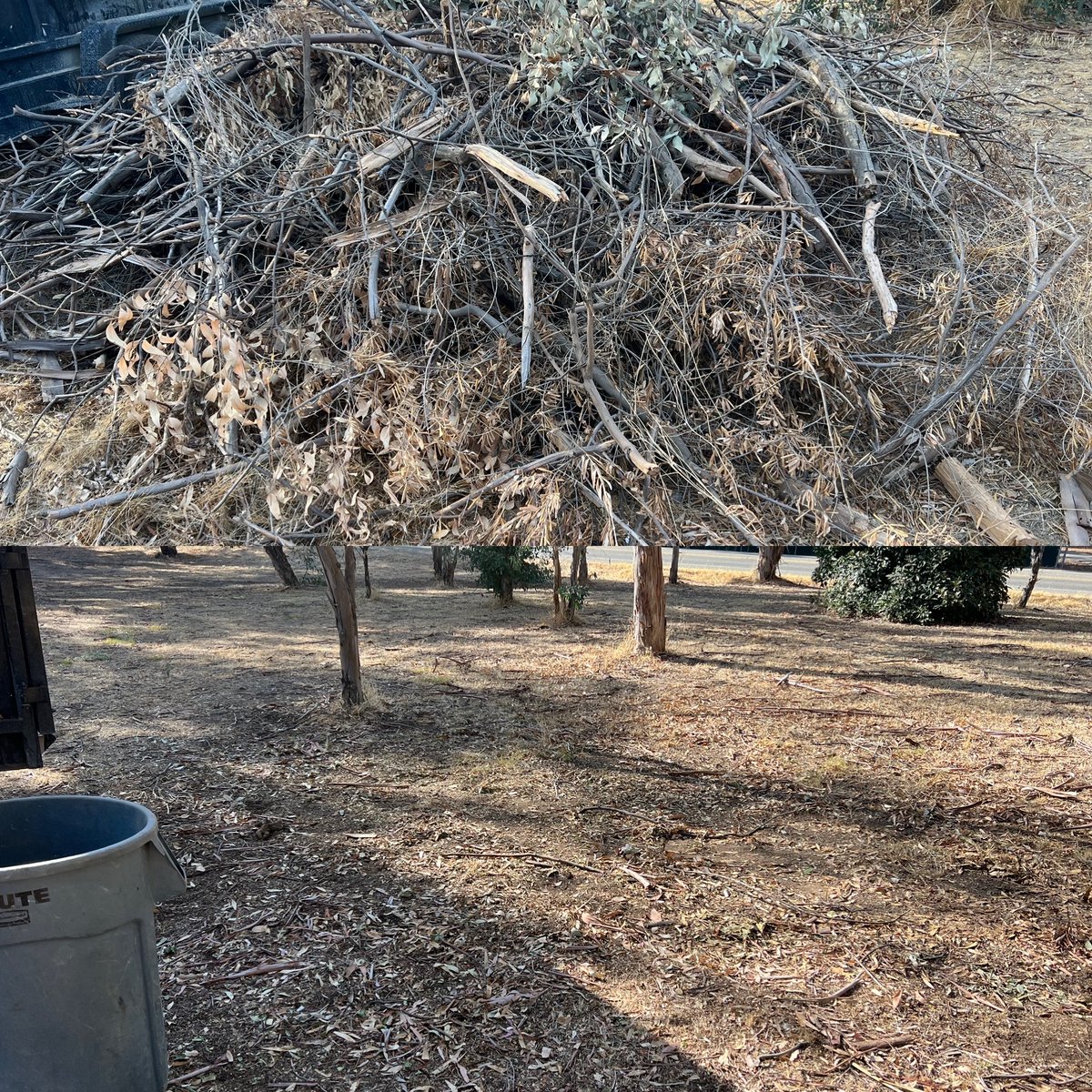 BriceHavens's tweet image. bit.ly/3LNXby4 #JunkremovalFresno #BackyardCleanup #GarageCleanOut #Veteranowned #YardDebris #ConstructionDebris #StorageCleanOut #SangerJunkremoval #MaderaJunkremoval #WholeHouseCleanOut