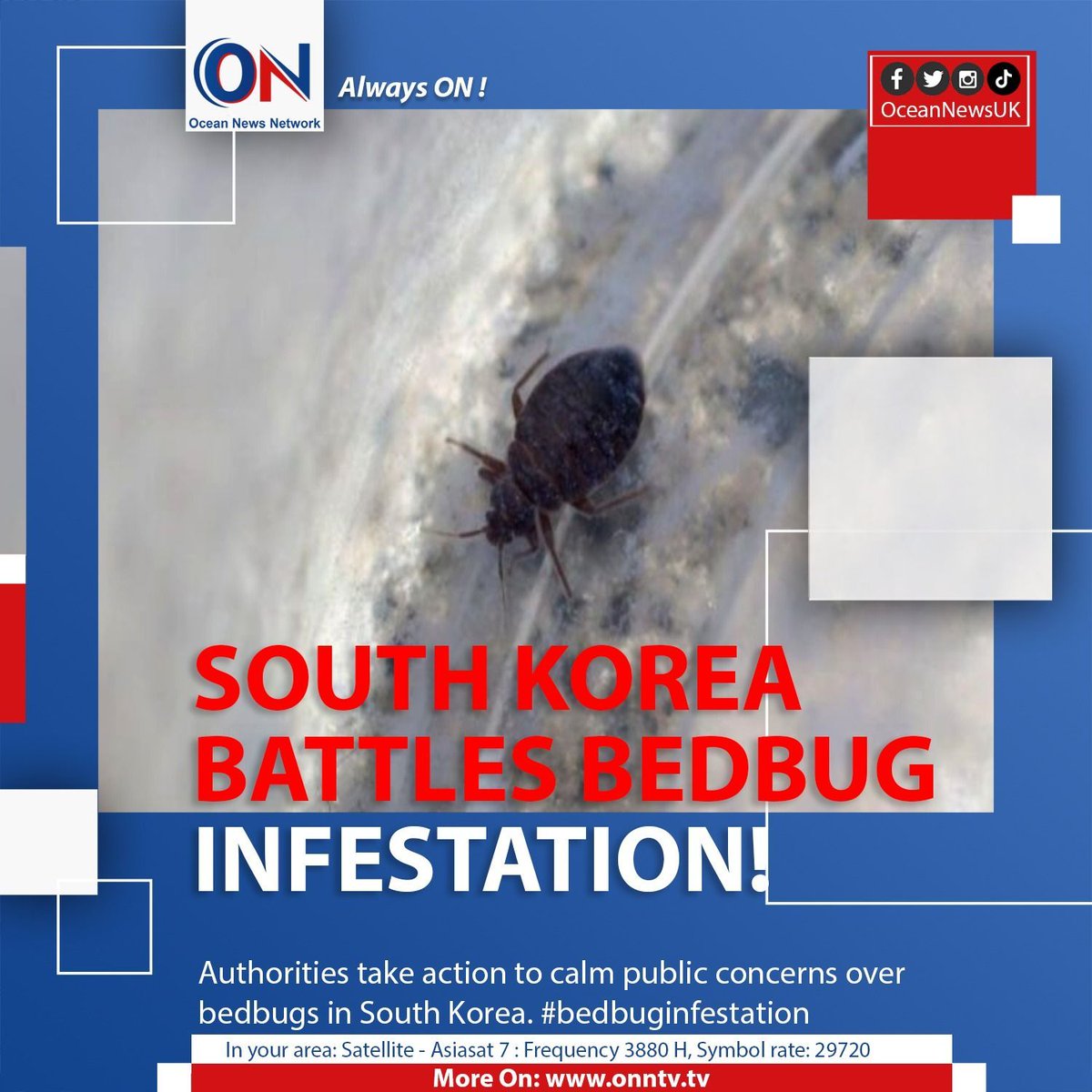 NewsOceanON's tweet image. Authorities take action to calm public concerns over bedbugs in South Korea. #bedbuginfestation

#OceanNewsUK #UK #Ocean #breaking #latest #London

More On: oceannewsuk.com

📺 Satellite - Asiasat7 : Frequency 3880 H, Symbol Rate: 29720
