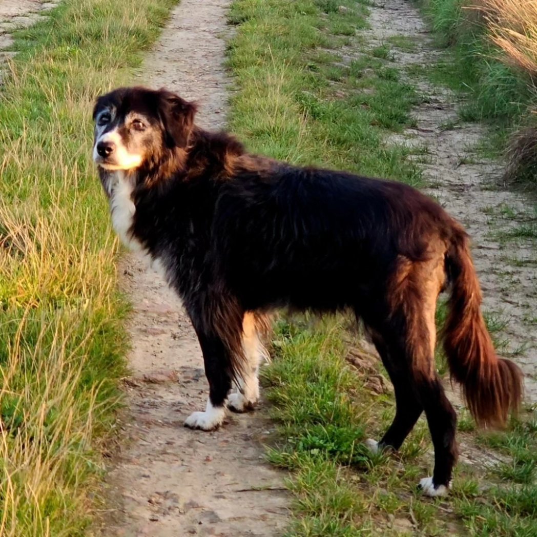 Marijke Broothaers tweet media