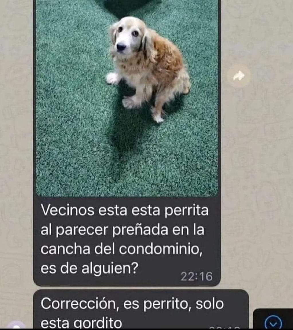 PorQue1mporta's tweet photo. https://t.co/vtSjnP83Jx
