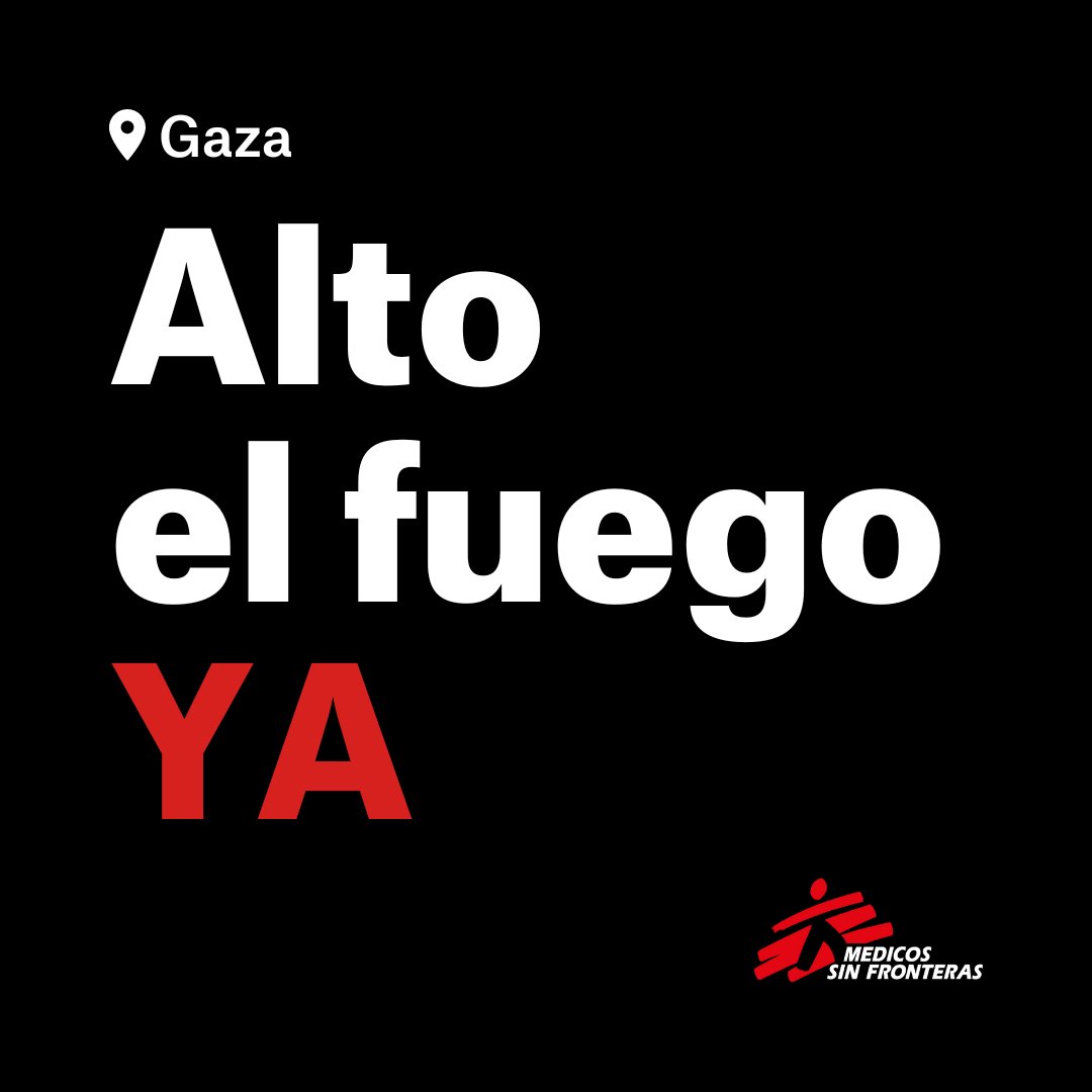 📢 GAZA. Pedimos un alto el fuego inmediato.

Desde el 7 de octubre, han muerto casi 10.000 personas, entre ellas casi 4.000 niños y niñas, según el Ministerio de Salud palestino. Más de 24.000 han resultado heridas y unas 2.000 están desaparecidas bajo los escombros.

👇