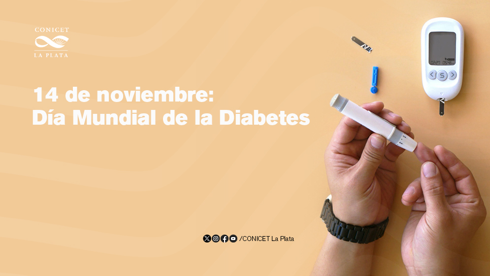CONICETLaPlata's tweet photo. Un centro del #CONICET organiza una jornada de concientización y sensibilización por el Día Mundial de la #Diabetes
Será el martes 14 de noviembre de 10 a 16 en el Parque San Martín de #LaPlata. Es impulsada por el #CENEXA y @fcm_unlp
👉https://t.co/eMlh4206bN https://t.co/GKHAOzxEZo
