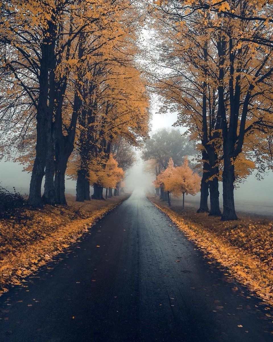 earthcurated's tweet image. Stockholm, Sweden. 🍂✨