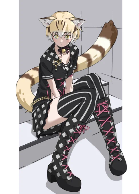 スナネコ