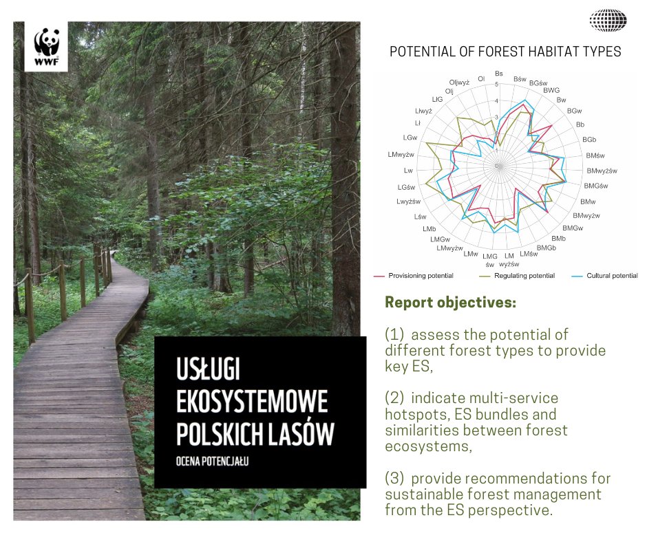 Ecosystem services of the Polish forests. Assessment of potential 🌳🌲🧑‍🔬👩‍🔬
▶️ We encourage you to read the latest report by @WWF_Polska (link to the report: tiny.pl/cjs5w), prepared by a team of scientists from the Department of Geoecology, @igsopas.