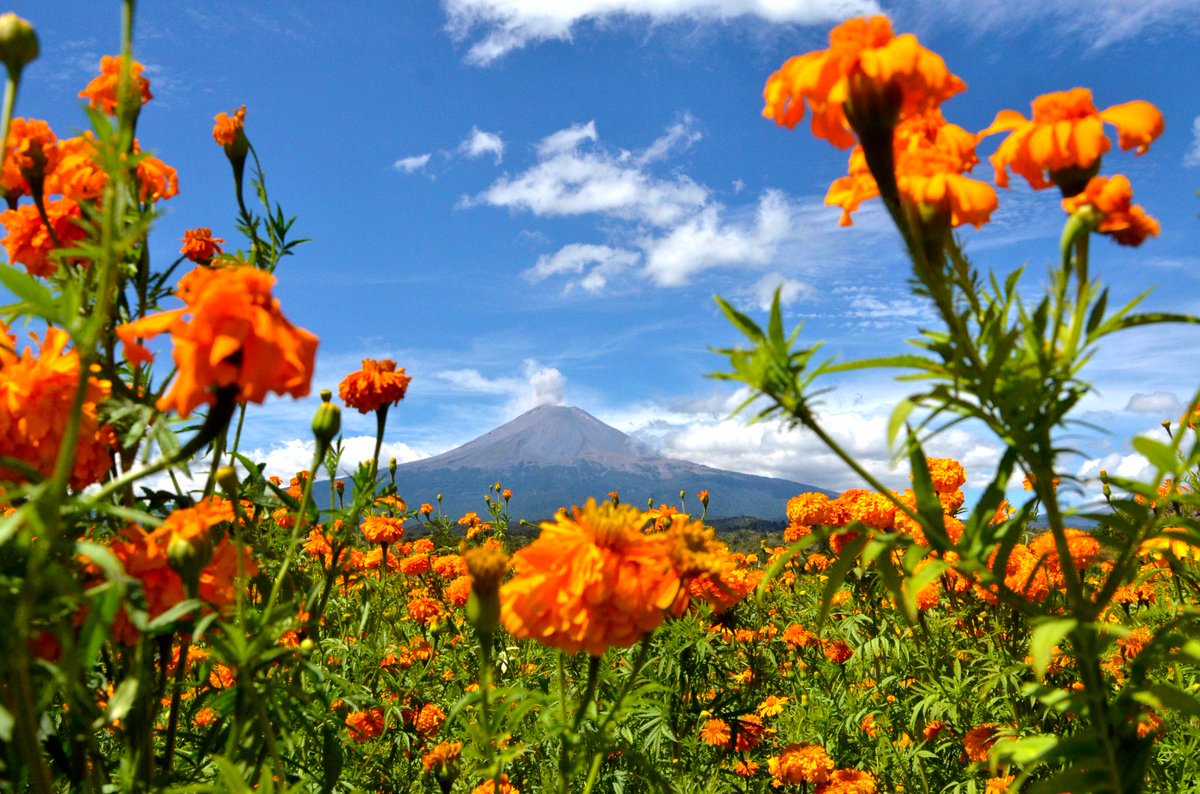 LizSanchezSM's tweet photo. ¡Cada día es una oportunidad para disfrutar la vida al máximo! 🌞 Aprovechemos cada instante y apreciemos las maravillas de  #Puebla, un estado que lo tiene todo. 🏞️💫 seamos felices, amigas y amigos, agradezcamos por un día más🙏. 

Les abrazo con el corazón 🫂❤️.

#BuenosDías #DisfrutaLaVida  #ActitudPositiva