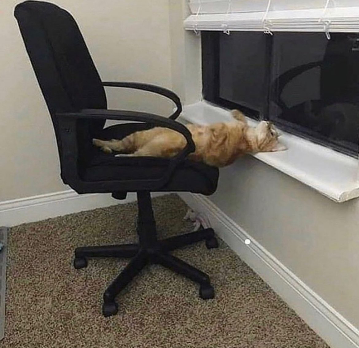 leave me here