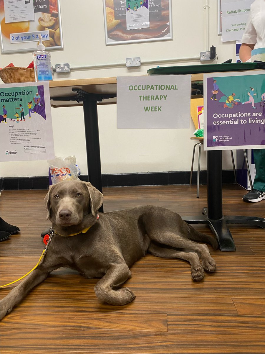 QAHospTherapies's tweet photo. Happy OT week! Our first ‘meet and greet’ stand with the Acute OTs in PHU, 
Thank you to all the wonderful OTs in Portsmouth Hospitals. #OTWeek2023 #ProudToBeAHP #proudtobePHU https://t.co/fj7KWG0mzb