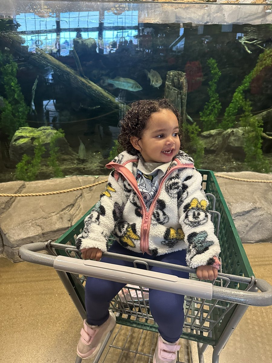 flyinthegs's tweet photo. I’m excited to have the new @garthbrooks box set! Lyla was so excited and happy to see all the animals and fish! Happily #FlyinTheGs today!
❤️❤️ https://t.co/x3bZlOH3BS