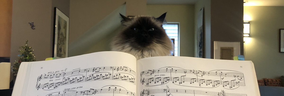 ThatGarrett's tweet image. Sometimes it's just really hard to practice at my house. 

#PianoVision #music #piano #ClassicalMusic