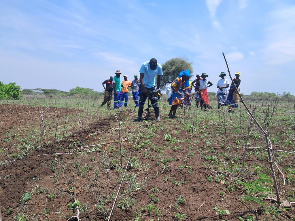 MangeziBrian's tweet photo. #APPRECIATION
Dear  @mishecknkoma, @SydieGee and Abel @Zithokaa
You never ask for  appreciation or  attention but you certainly deserve it. You make working hard look easy, I appreciate all you do. 
#teamworkworks
#Feedthefuture🇿🇼  Mechanization &amp; Extension Activity 
@Cimmyt https://t.co/dfIJ6Rd7I4