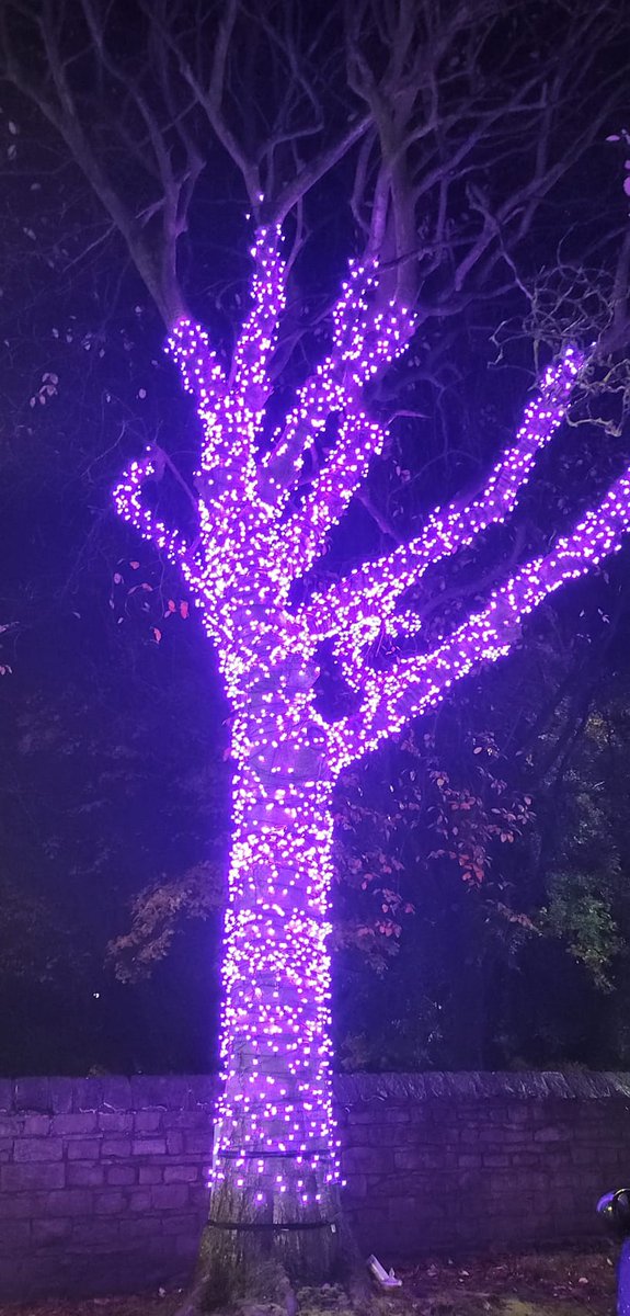 #PancreaticCancerAwarenessMonth <a href="/WWLNHS/">WWL NHS</a> <a href="/WWLHPBnurses/">HPB nursing team</a> 
#PurpleTree 💜